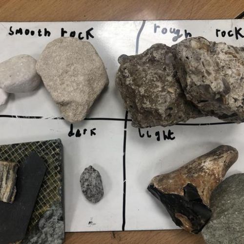 Science in Action at Warren​​​​​​​